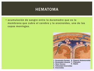 HEMATOMA

 acumulación de sangre entre la duramadre que es la
  membrana que cubre el cerebro y la aracnoides, una de las
  capas meníngea.
 