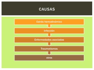 CAUSAS

 Estrés hemodinámico


       Infección


Enfermedades asociadas


    Traumatismos


         otros
 