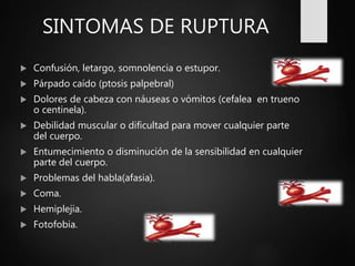 SINTOMAS DE RUPTURA
 Confusión, letargo, somnolencia o estupor.
 Párpado caído (ptosis palpebral)
 Dolores de cabeza con náuseas o vómitos (cefalea en trueno
o centinela).
 Debilidad muscular o dificultad para mover cualquier parte
del cuerpo.
 Entumecimiento o disminución de la sensibilidad en cualquier
parte del cuerpo.
 Problemas del habla(afasia).
 Coma.
 Hemiplejia.
 Fotofobia.
 