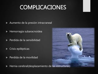 COMPLICACIONES
 Aumento de la presión intracraneal
 Hemorragia subaracnoidea
 Perdida de la sensibilidad
 Crisis epilépticas
 Perdida de la movilidad
 Hernia cerebral(desplazamiento de las estructuras)
 