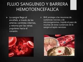 FLUJO SANGUINEO Y BARRERA
HEMOTOENCEFALICA
 La sangre llega al
encéfalo, a través de las
arterias carótidas internas,
y retorna por las venas
yugulares hacia el
corazón.
 BHE protege a las neuronas de
sustancias nocivas y de
microorganismos, impide el paso de
muchas de estas sustancias de la
sangre al tejido nervioso.
 
