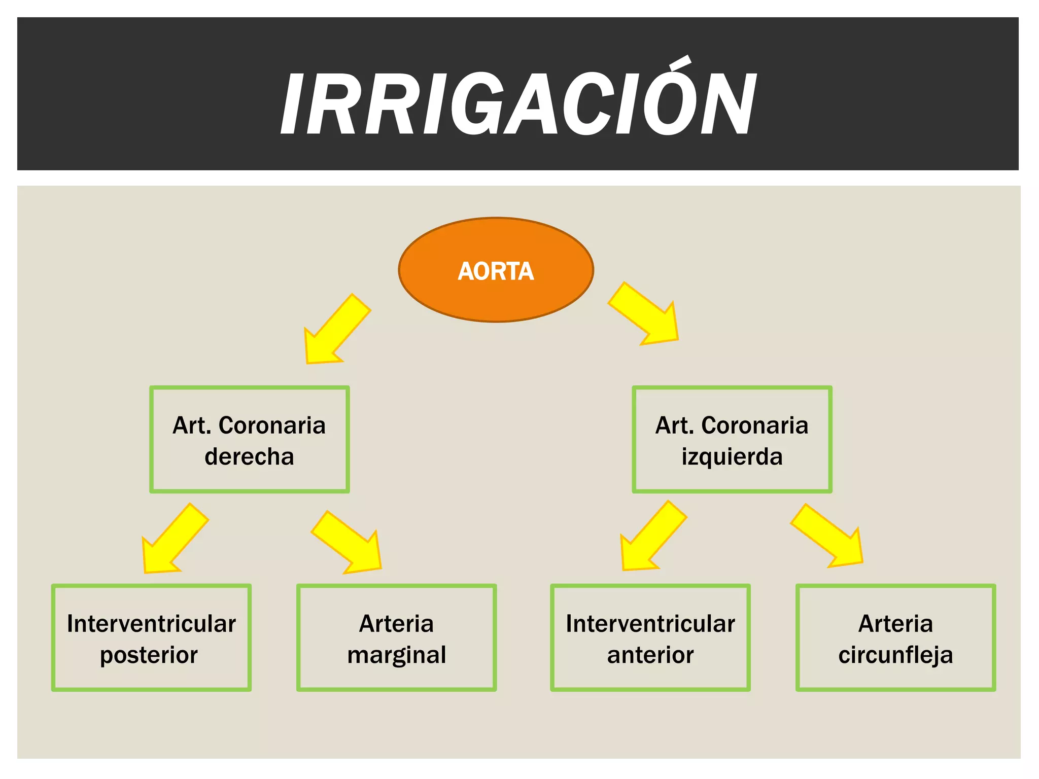 Aneurisma de aorta torácica y reemplazo de válvula aórtica | PPTX
