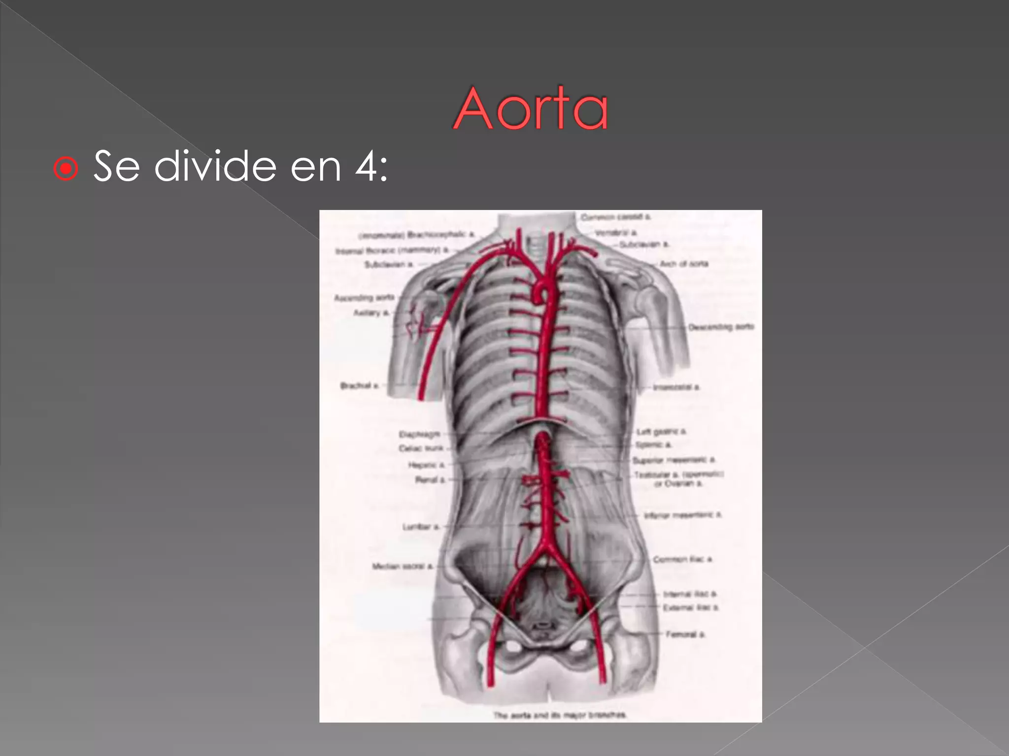 Aneurisma de la aorta abdominal | PPTX