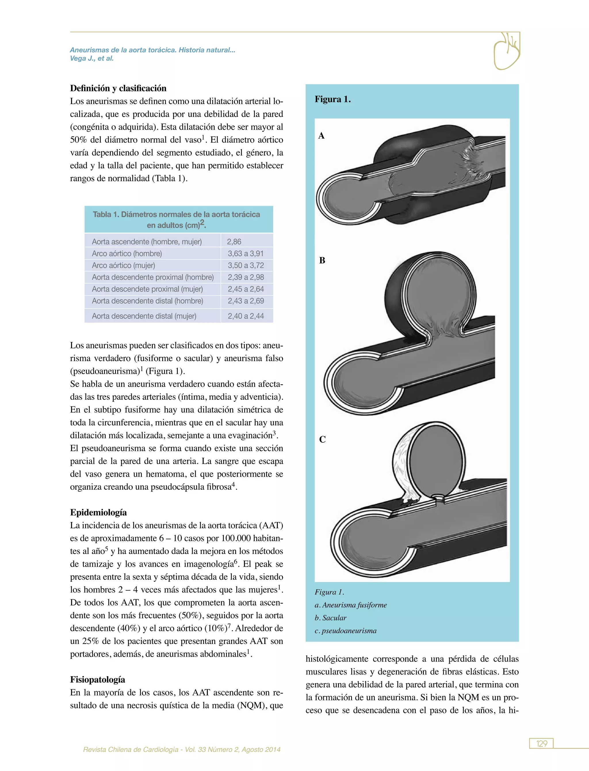 Aneurismas de la aorta torácica. historia natural, diagnóstico y ...