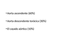 •Aorta ascendente (60%)
•Aorta descendente torácica (30%)
•El cayado aórtico (10%)
 