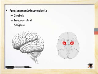 A neurociência do aprendizado