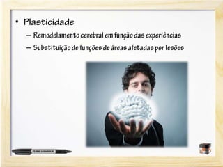 A neurociência do aprendizado