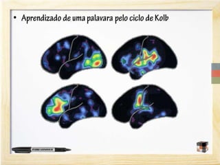 A neurociência do aprendizado