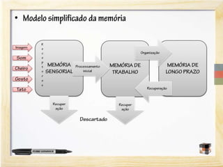 A neurociência do aprendizado