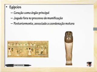 A neurociência do aprendizado