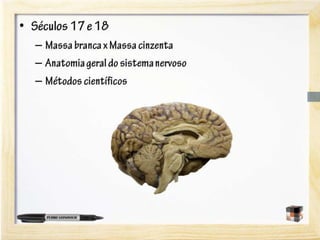 A neurociência do aprendizado