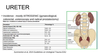 URETER
• Incidence : mostly IATROGENIC (gynaecological,
colorectal, ureteroscopy and radical prostatectomy)
Summerton et al, 2015 Guidelines on Urological Trauma EAU
 