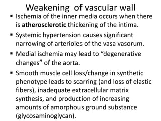 Weakening of vascular wall
 Ischemia of the inner media occurs when there
is atherosclerotic thickening of the intima.
 Systemic hypertension causes significant
narrowing of arterioles of the vasa vasorum.
 Medial ischemia may lead to “degenerative
changes” of the aorta.
 Smooth muscle cell loss/change in synthetic
phenotype leads to scarring (and loss of elastic
fibers), inadequate extracellular matrix
synthesis, and production of increasing
amounts of amorphous ground substance
(glycosaminoglycan).
 