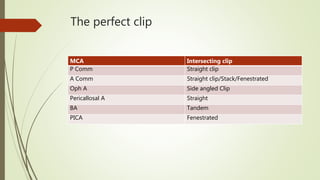The perfect clip
MCA Intersecting clip
P Comm Straight clip
A Comm Straight clip/Stack/Fenestrated
Oph A Side angled Clip
Pericallosal A Straight
BA Tandem
PICA Fenestrated
 