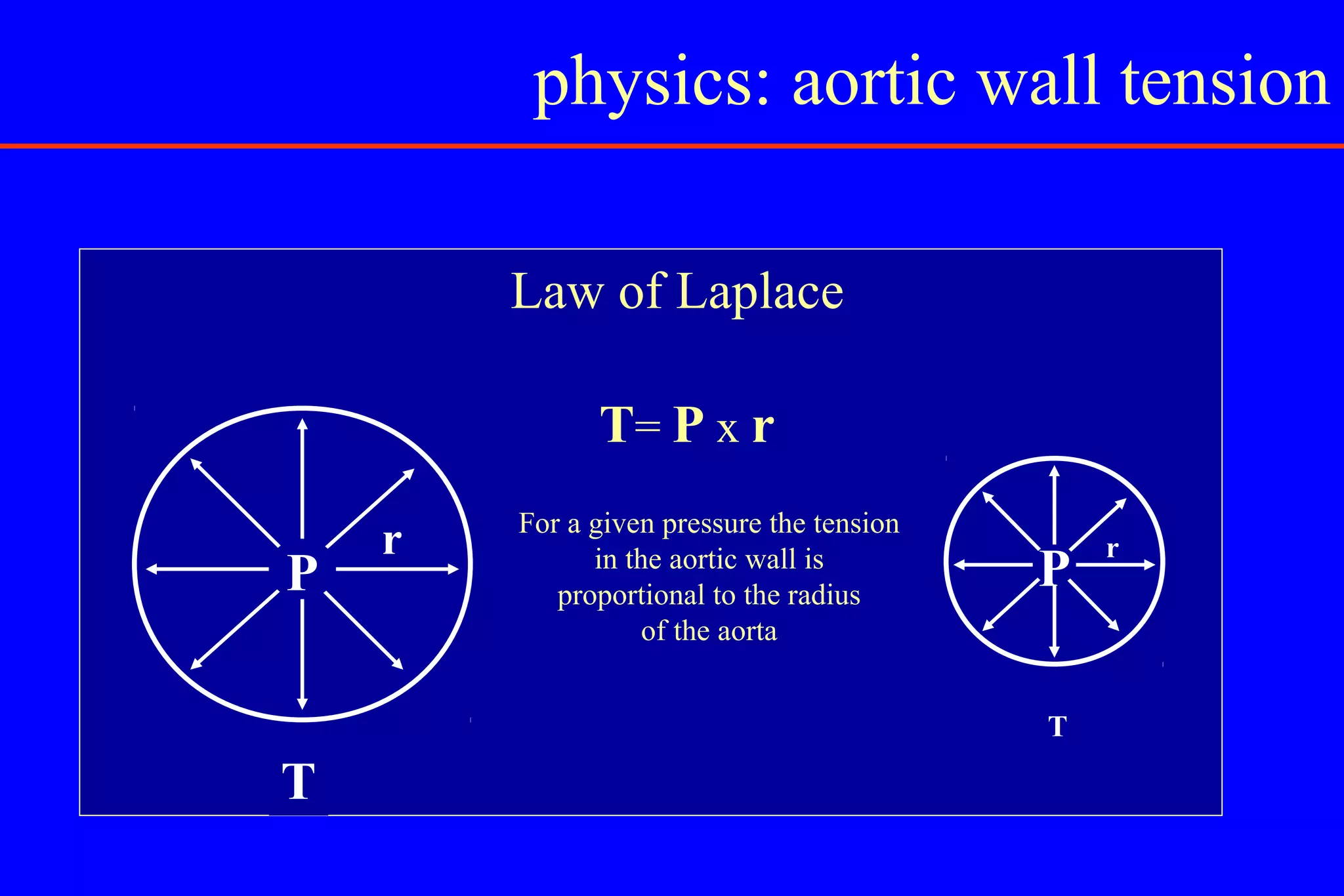 Abdominal Aortic Aneurysm | PPT