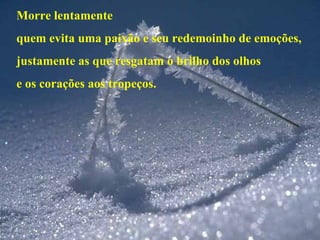 Morre lentamente quem evita uma paixão e seu redemoinho de emoções, justamente as que resgatam o brilho dos olhos e os corações aos tropeços. 