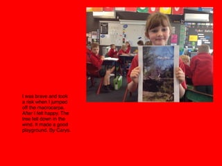I was brave and took
a risk when I jumped
off the macrocarpa.
After I felt happy. The
tree fell down in the
wind. It made a good
playground. By Carys. 
 