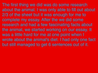 The ﬁrst thing we did was do some research
about the animal. I was only able to ﬁll out about
2/3 of the sheet but it was enough for me to
complete my essay. After the we did some
research and had a few fascinating facts about
the animal, we started working on our essay. It
was a little hard for me at one point when I
wrote about the animal's diet. I had only one fact
but still managed to get 6 sentences out of it.
 