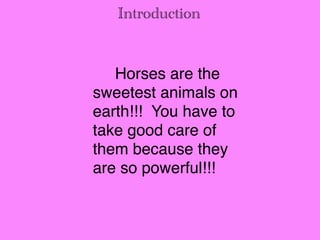 Introduction
Horses are the
sweetest animals on
earth!!! You have to
take good care of
them because they
are so powerful!!!