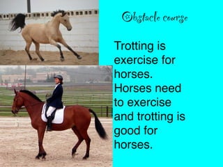 Obstacle course
Trotting is
exercise for
horses.
Horses need
to exercise
and trotting is
good for
horses.