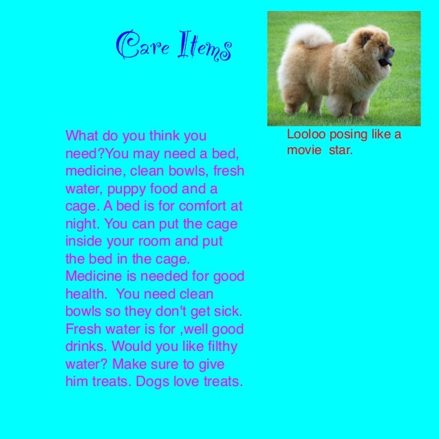 what you need for a puppy fostering puppies by sydney what you need for a puppy fostering puppies by sydney