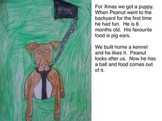 For Xmas we got a puppy.
When Peanut went to the
backyard for the ﬁrst time
he had fun. He is 6
months old. His favourite
food is pig ears. 

We built home a kennel
and he likes it. Peanut
looks after us. Now he has
a ball and food comes out
of it.
 