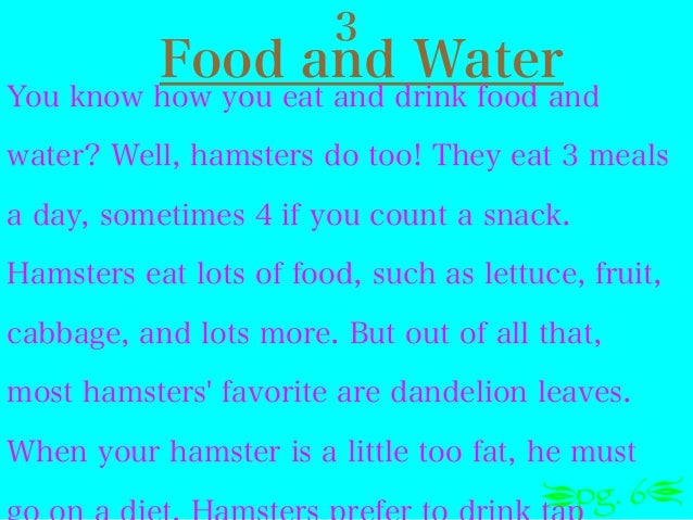 what do hamsters eat and drink