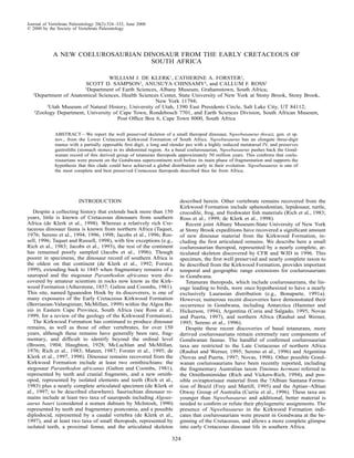 324
Journal of Vertebrate Paleontology 20(2):324–332, June 2000
䉷 2000 by the Society of Vertebrate Paleontology
A NEW COELUROSAURIAN DINOSAUR FROM THE EARLY CRETACEOUS OF
SOUTH AFRICA
WILLIAM J. DE KLERK1
, CATHERINE A. FORSTER2
,
SCOTT D. SAMPSON3
, ANUSUYA CHINSAMY4
, and CALLUM F. ROSS2
1
Department of Earth Sciences, Albany Museum, Grahamstown, South Africa;
2
Department of Anatomical Sciences, Health Sciences Center, State University of New York at Stony Brook, Stony Brook,
New York 11794;
3
Utah Museum of Natural History, University of Utah, 1390 East Presidents Circle, Salt Lake City, UT 84112;
4
Zoology Department, University of Cape Town, Rondebosch 7701, and Earth Sciences Division, South African Museum,
Post Office Box 6, Cape Town 8000, South Africa
ABSTRACT—We report the well preserved skeleton of a small theropod dinosaur, Nqwebasaurus thwazi, gen. et sp.
nov., from the Lower Cretaceous Kirkwood Formation of South Africa. Nqwebasaurus has an elongate three-digit
manus with a partially opposable first digit, a long and slender pes with a highly reduced metatarsal IV, and preserves
gastroliths (stomach stones) in its abdominal region. As a basal coelurosaurian, Nqwebasaurus pushes back the Gond-
wanan record of this derived group of tetanuran theropods approximately 50 million years. This confirms that coelu-
rosaurians were present on the Gondwana supercontinent well before its main phase of fragmentation and supports the
hypothesis that this clade could have achieved a global distribution early in their evolution. Nqwebasaurus is one of
the most complete and best preserved Cretaceous theropods described thus far from Africa.
INTRODUCTION
Despite a collecting history that extends back more than 150
years, little is known of Cretaceous dinosaurs from southern
Africa (de Klerk et al., 1998). Whereas a relatively rich Cre-
taceous dinosaur fauna is known from northern Africa (Taquet,
1976; Sereno et al., 1994, 1996, 1998; Jacobs et al., 1996; Rus-
sell, 1996; Taquet and Russell, 1998), with few exceptions (e.g.,
Rich et al., 1983; Jacobs et al., 1993), the rest of the continent
has remained poorly sampled (Jacobs et al., 1996). Though
poorer in specimens, the dinosaur record of southern Africa is
the oldest on that continent (de Klerk et al., 1992; Forster,
1999), extending back to 1845 when fragmentary remains of a
sauropod and the stegosaur Paranthodon africanus were dis-
covered by amateur scientists in rocks now know as the Kirk-
wood Formation (Atherstone, 1857; Galton and Coombs, 1981).
This site, named Iguanodon Hoek by its discoverers, is one of
many exposures of the Early Cretaceous Kirkwood Formation
(Berriasian-Valanginian; McMillan, 1999) within the Algoa Ba-
sin in Eastern Cape Province, South Africa (see Ross et al.,
1999, for a review of the geology of the Kirkwood Formation).
The Kirkwood Formation has continued to produce dinosaur
remains, as well as those of other vertebrates, for over 150
years, although these remains have generally been rare, frag-
mentary, and difficult to identify beyond the ordinal level
(Broom, 1904; Haughton, 1928; McLachlan and McMillan,
1976; Rich et al., 1983; Mateer, 1987; Forster et al., 1995; de
Klerk et al., 1997, 1998). Dinosaur remains recovered from the
Kirkwood Formation include at least two ornithischians: the
stegosaur Paranthodon africanus (Galton and Coombs, 1981),
represented by teeth and cranial fragments, and a new ornith-
opod, represented by isolated elements and teeth (Rich et al.,
1983) plus a nearly complete articulated specimen (de Klerk et
al., 1997; to be described elsewhere). Saurischian dinosaur re-
mains include at least two taxa of sauropods including Algoas-
aurus bauri (considered a nomen dubium by McIntosh, 1990)
represented by teeth and fragmentary postcrania, and a possible
diplodocid, represented by a caudal vertebra (de Klerk et al.,
1997), and at least two taxa of small theropods, represented by
isolated teeth, a proximal femur, and the articulated skeleton
described herein. Other vertebrate remains recovered from the
Kirkwood Formation include sphenodontian, lepidosaur, turtle,
crocodile, frog, and freshwater fish materials (Rich et al., 1983;
Ross et al., 1999; de Klerk et al., 1998).
Recent joint Albany Museum-State University of New York
at Stony Brook expeditions have recovered a significant amount
of new dinosaur material from the Kirkwood Formation, in-
cluding the first articulated remains. We describe here a small
coelurosaurian theropod, represented by a nearly complete, ar-
ticulated skeleton discovered by CFR and WJD in 1996. This
specimen, the first well preserved and nearly complete taxon to
be described from the Kirkwood Formation, provides important
temporal and geographic range extensions for coelurosaurians
in Gondwana.
Tetanuran theropods, which include coelurosaurians, the lin-
eage leading to birds, were once hypothesized to have a nearly
exclusively Laurasian distribution (e.g., Bonaparte, 1991a).
However, numerous recent discoveries have demonstrated their
occurrence in Gondwana, including Antarctica (Hammer and
Hickerson, 1994), Argentina (Coria and Salgado, 1995; Novas
and Puerta, 1997), and northern Africa (Rauhut and Werner,
1995; Sereno et al., 1996).
Despite these recent discoveries of basal tetanurans, more
derived coelurosaurians remain extremely rare components of
Gondwanan faunas. The handful of confirmed coelurosaurian
taxa are restricted to the Late Cretaceous of northern Africa
(Rauhut and Werner, 1995; Sereno et al., 1996) and Argentina
(Novas and Puerta, 1997; Novas, 1998). Other possible Gond-
wanan coelurosaurians have been recently reported, including
the fragmentary Australian taxon Timimus hermani referred to
the Ornithomimidae (Rich and Vickers-Rich, 1994), and pos-
sible oviraptorisaur material from the ?Albian Santana Forma-
tion of Brazil (Frey and Martill, 1995) and the Aptian–Albian
Otway Group of Australia (Currie et al., 1996). These taxa are
younger than Nqwebasaurus and additional, better material is
needed to confirm or refute their phylogenetic assignments. The
presence of Nqwebasaurus in the Kirkwood Formation indi-
cates that coelurosaurians were present in Gondwana at the be-
ginning of the Cretaceous, and allows a more complete glimpse
into early Cretaceous dinosaur life in southern Africa.
 