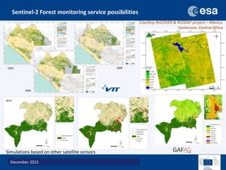 A new generation of data to monitor landscapes across the tropics