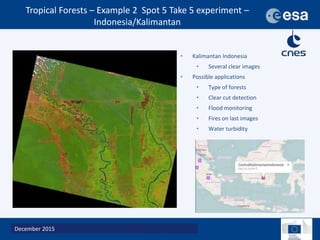 A new generation of data to monitor landscapes across the tropics