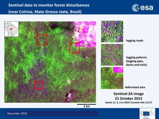A new generation of data to monitor landscapes across the tropics