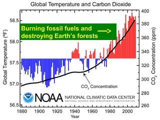Guy Dauncey 2015
Earthfuture.com
English Bay, Vancouver, April 16, 2015
 