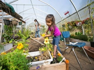 Guy Dauncey 2015
Earthfuture.com
 