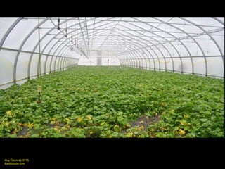 Guy Dauncey 2015
Earthfuture.com
By 2020, every south-facing roof without 4 kW solar
could lose its owner up to $1,000 a year
 