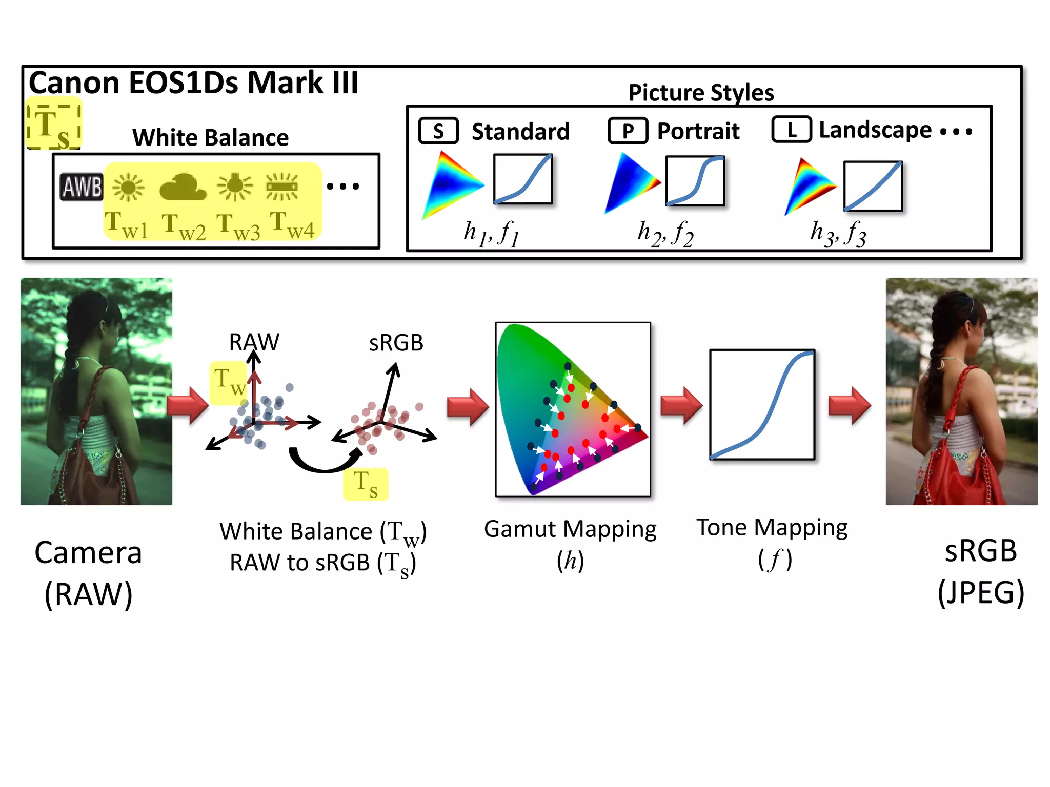 Canon EOS1Ds Mark III                            Picture Styles
Ts    White Balance              S   Standard    P Portrait     L Landscape   …
                      …
    Tw1 Tw2 Tw3 Tw4                  h1, f1       h2, f2            h3, f3



            RAW           sRGB
           Tw


                       Ts
            White Balance (Tw)         Gamut Mapping       Tone Mapping
Camera      RAW to sRGB (Ts)                (h)                 (f)            sRGB
 (RAW)                                                                        (JPEG)
 