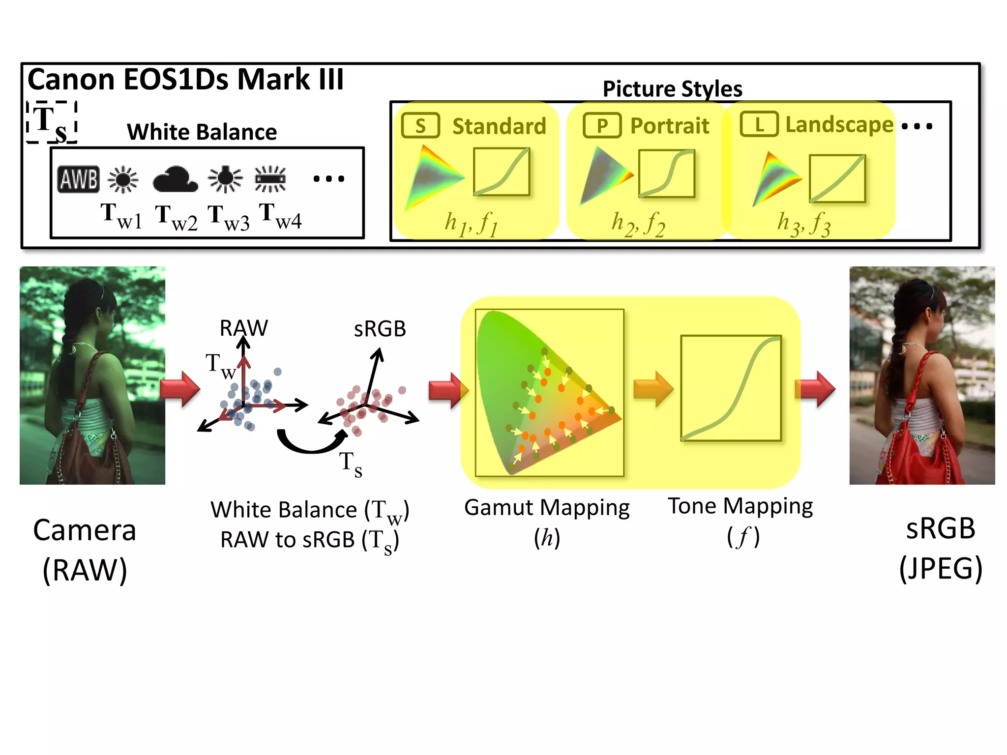 Canon EOS1Ds Mark III                            Picture Styles
Ts    White Balance              S   Standard    P Portrait     L Landscape   …
                      …
    Tw1 Tw2 Tw3 Tw4                  h1, f1       h2, f2            h3, f3



            RAW           sRGB
           Tw


                       Ts
            White Balance (Tw)         Gamut Mapping       Tone Mapping
Camera      RAW to sRGB (Ts)                (h)                 (f)            sRGB
 (RAW)                                                                        (JPEG)
 