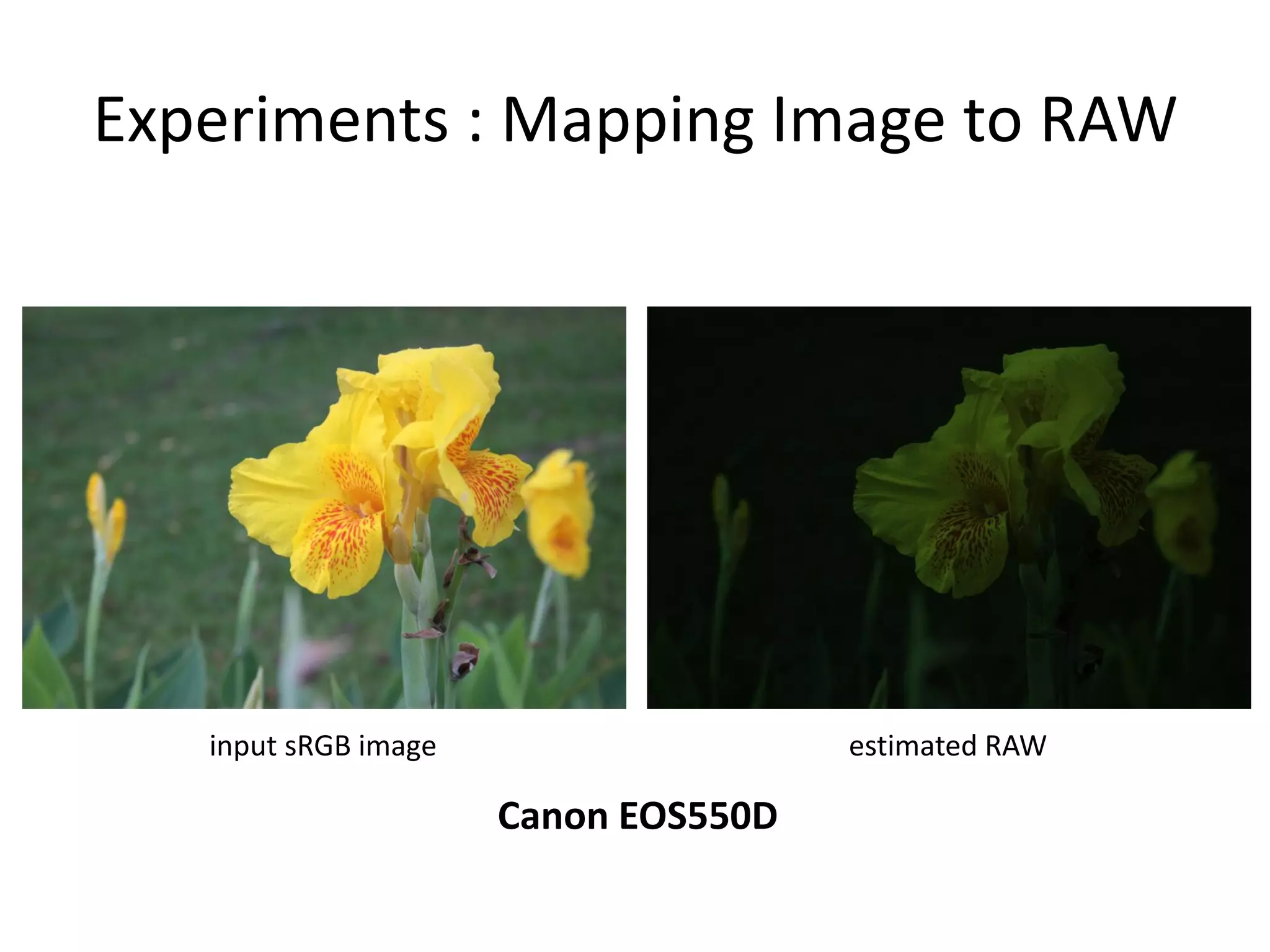 Experiments : Mapping Image to RAW




   input sRGB image                   estimated RAW

                      Canon EOS550D
 