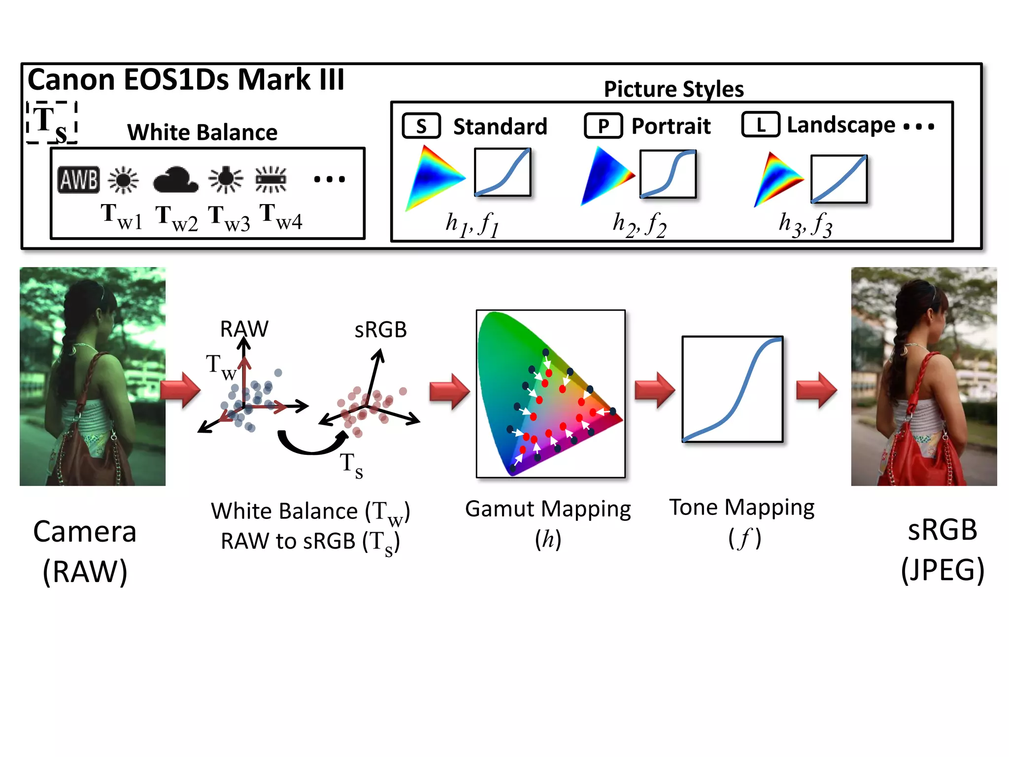 Canon EOS1Ds Mark III                            Picture Styles
Ts    White Balance              S   Standard    P Portrait     L Landscape   …
                      …
    Tw1 Tw2 Tw3 Tw4                  h1, f1       h2, f2            h3, f3



            RAW           sRGB
           Tw


                       Ts
            White Balance (Tw)         Gamut Mapping       Tone Mapping
Camera      RAW to sRGB (Ts)                (h)                 (f)            sRGB
 (RAW)                                                                        (JPEG)
 