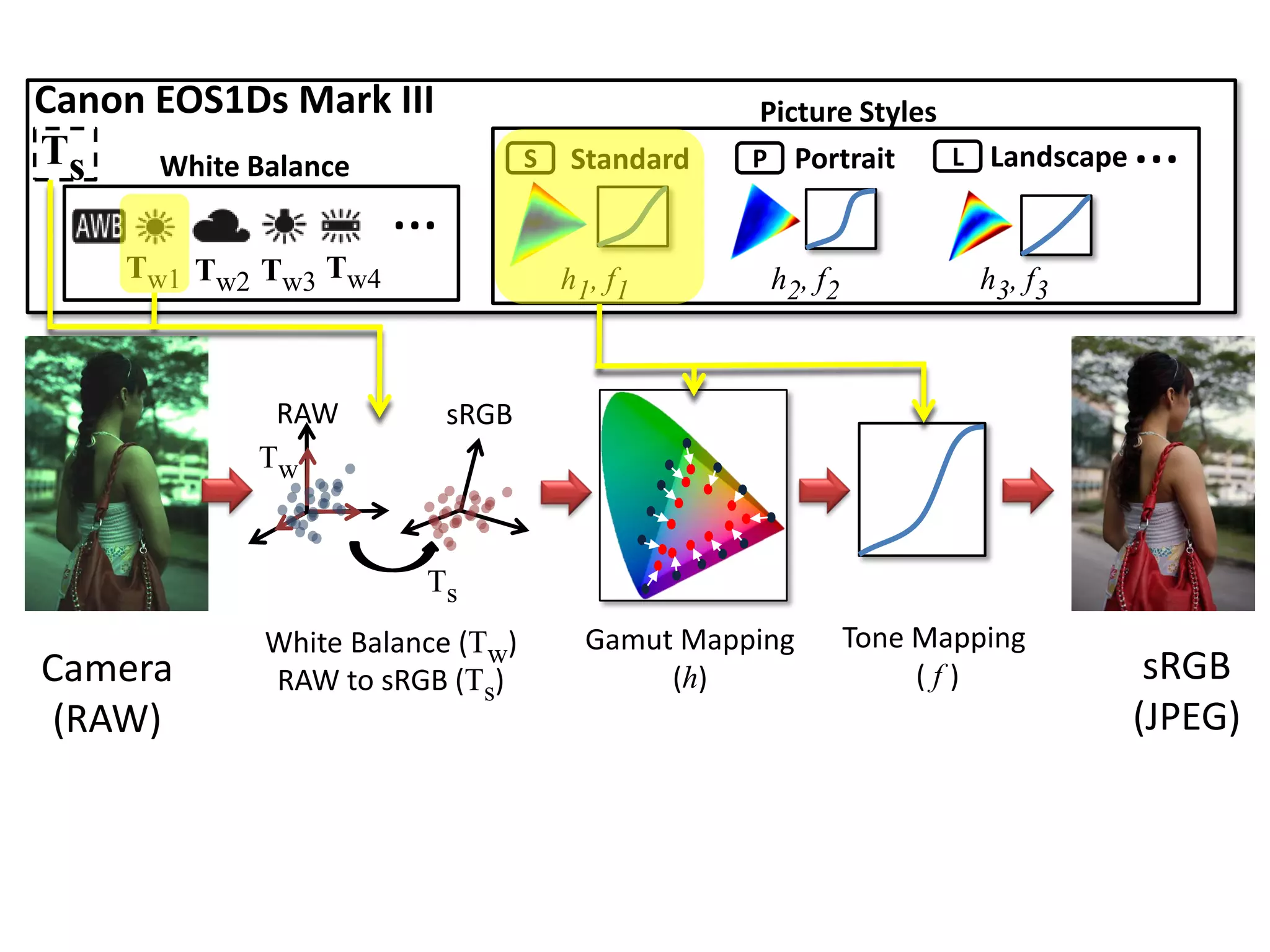 Canon EOS1Ds Mark III                            Picture Styles
Ts    White Balance              S   Standard    P Portrait     L Landscape   …
                      …
    Tw1 Tw2 Tw3 Tw4                  h1, f1       h2, f2            h3, f3



            RAW           sRGB
           Tw


                       Ts
            White Balance (Tw)         Gamut Mapping       Tone Mapping
Camera      RAW to sRGB (Ts)                (h)                 (f)            sRGB
 (RAW)                                                                        (JPEG)
 