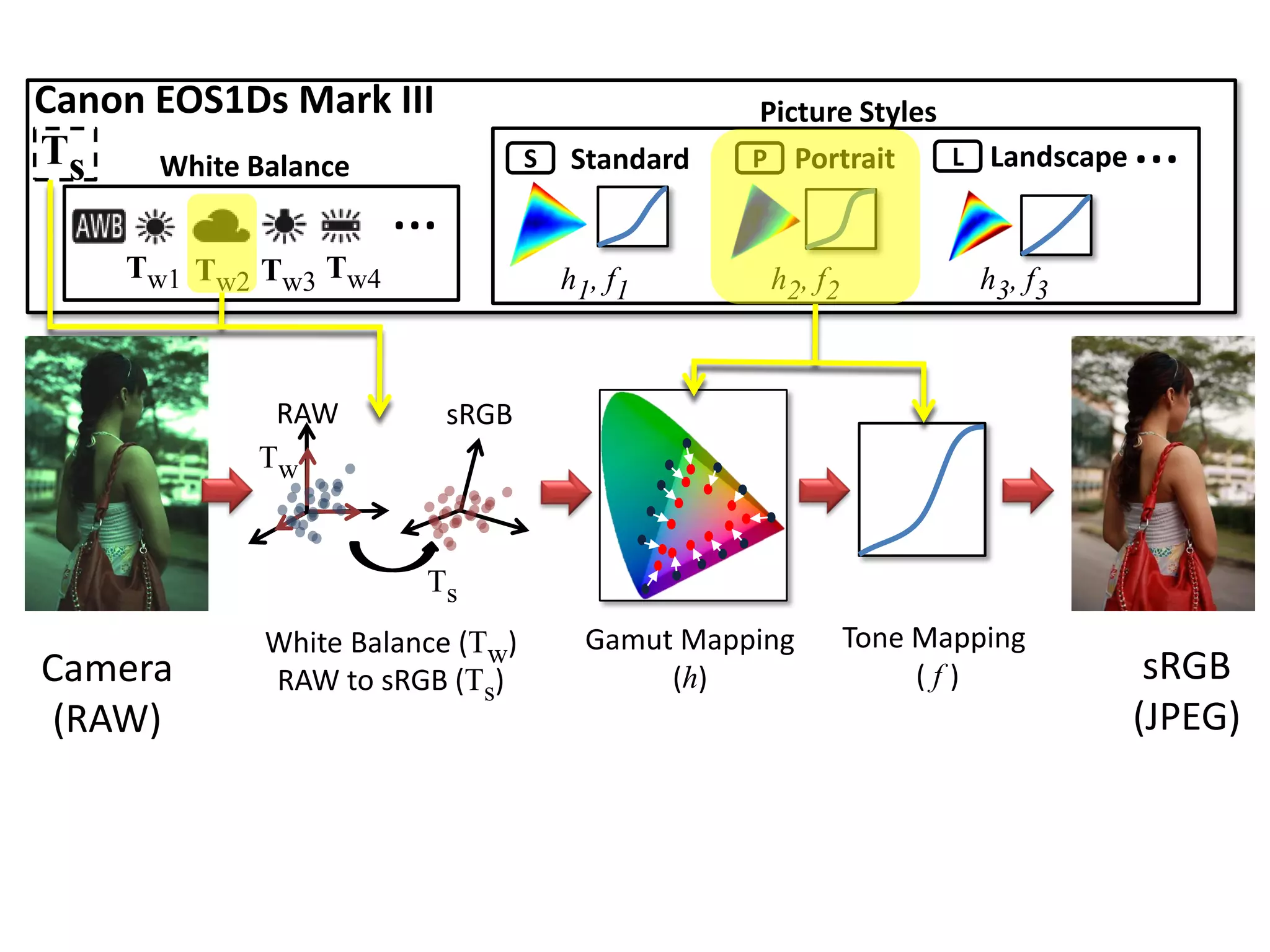 Canon EOS1Ds Mark III                            Picture Styles
Ts    White Balance              S   Standard    P Portrait     L Landscape   …
                      …
    Tw1 Tw2 Tw3 Tw4                  h1, f1       h2, f2            h3, f3



            RAW           sRGB
           Tw


                       Ts
            White Balance (Tw)         Gamut Mapping       Tone Mapping
Camera      RAW to sRGB (Ts)                (h)                 (f)            sRGB
 (RAW)                                                                        (JPEG)
 