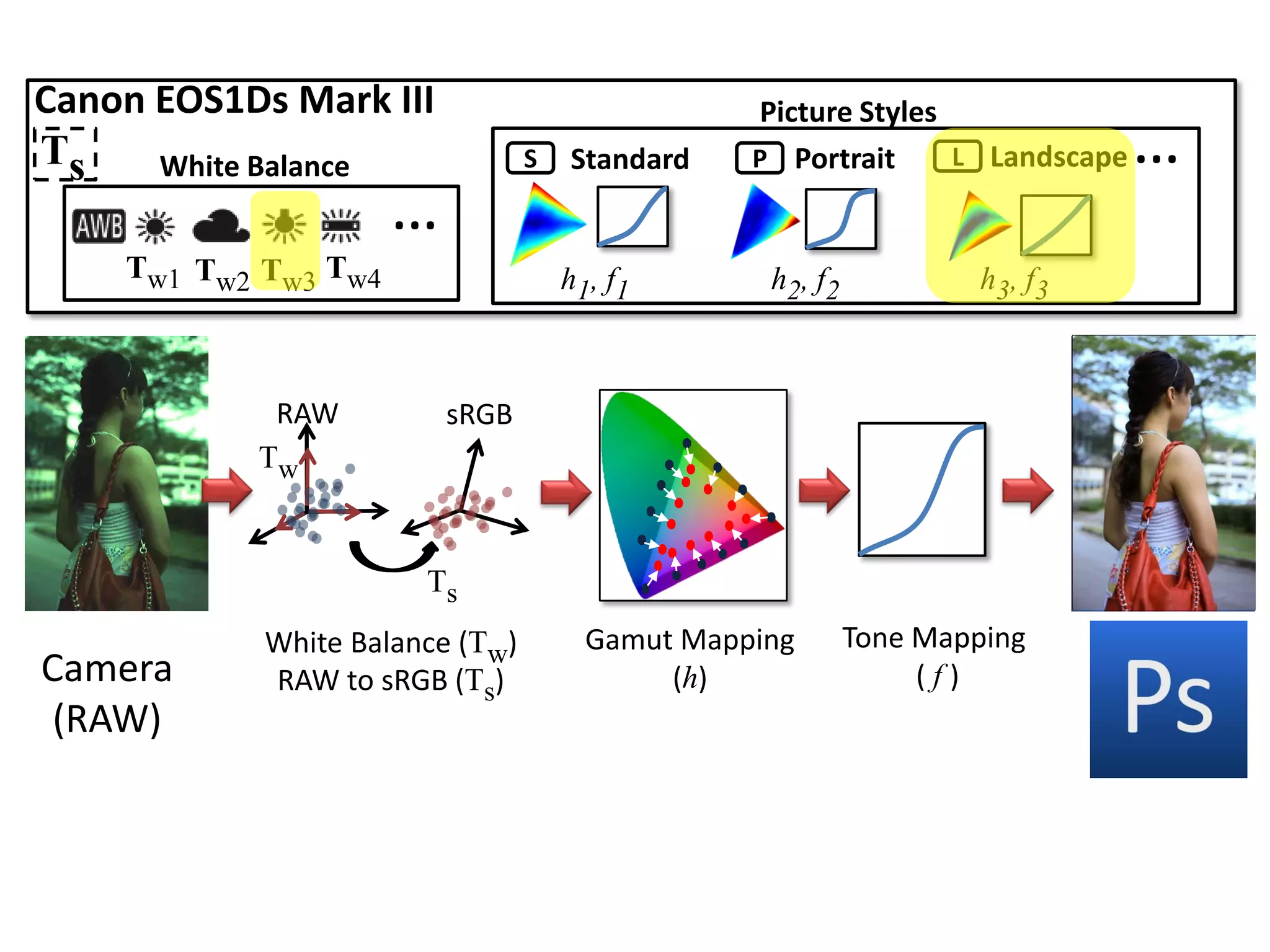 Canon EOS1Ds Mark III                            Picture Styles
Ts    White Balance              S   Standard    P Portrait     L Landscape   …
                      …
    Tw1 Tw2 Tw3 Tw4                  h1, f1       h2, f2            h3, f3



            RAW           sRGB
           Tw


                       Ts
            White Balance (Tw)         Gamut Mapping       Tone Mapping
Camera      RAW to sRGB (Ts)                (h)                 (f)            sRGB
 (RAW)                                                                        (JPEG)
 
