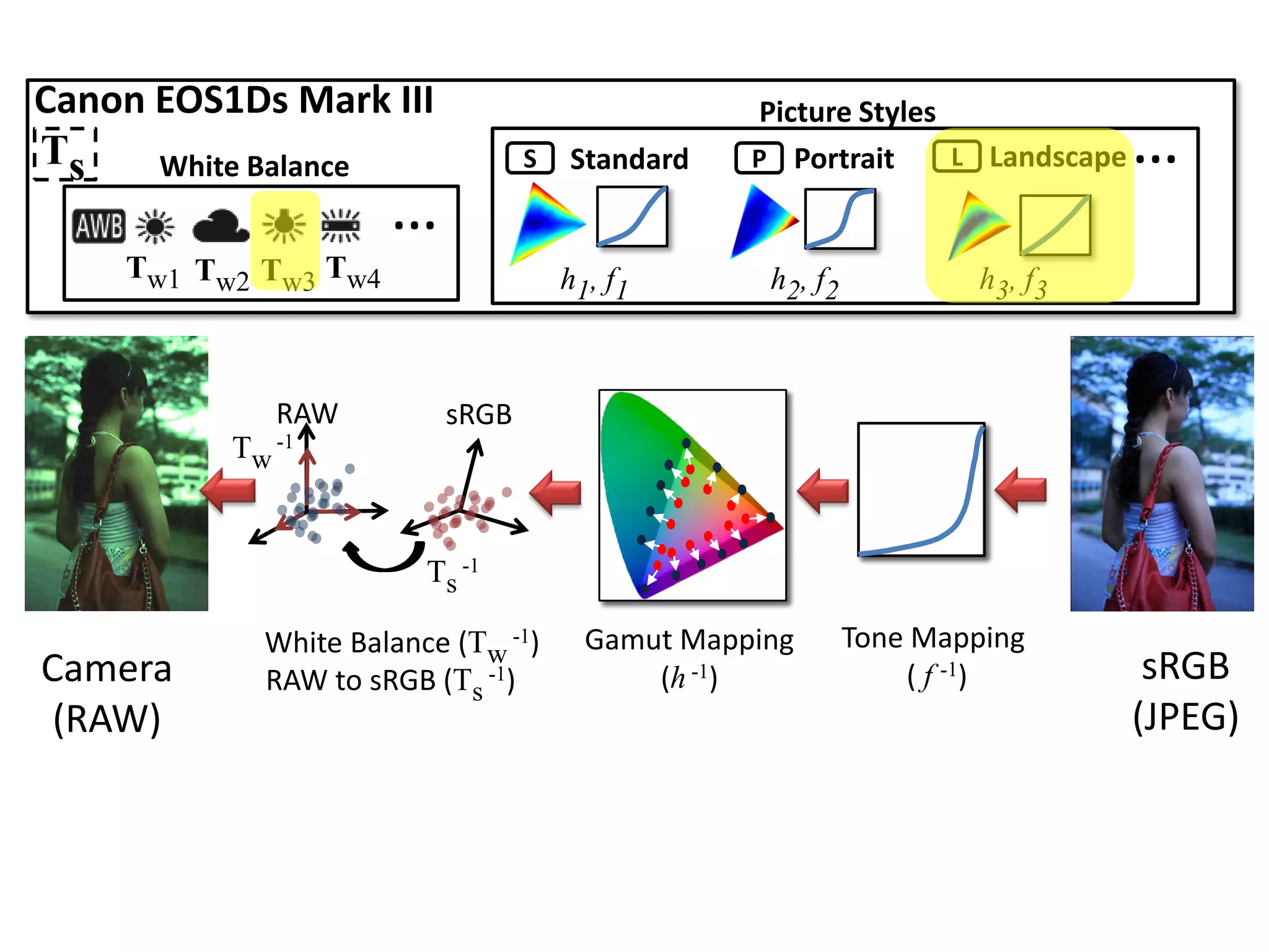 Canon EOS1Ds Mark III                            Picture Styles
Ts    White Balance              S   Standard    P Portrait     L Landscape   …
                      …
    Tw1 Tw2 Tw3 Tw4                  h1, f1       h2, f2            h3, f3



               RAW        sRGB
          Tw   -1




                        Ts -1

            White Balance (Tw -1)      Gamut Mapping       Tone Mapping
Camera      RAW to sRGB (Ts -1)            (h -1)              ( f -1)         sRGB
 (RAW)                                                                        (JPEG)
 