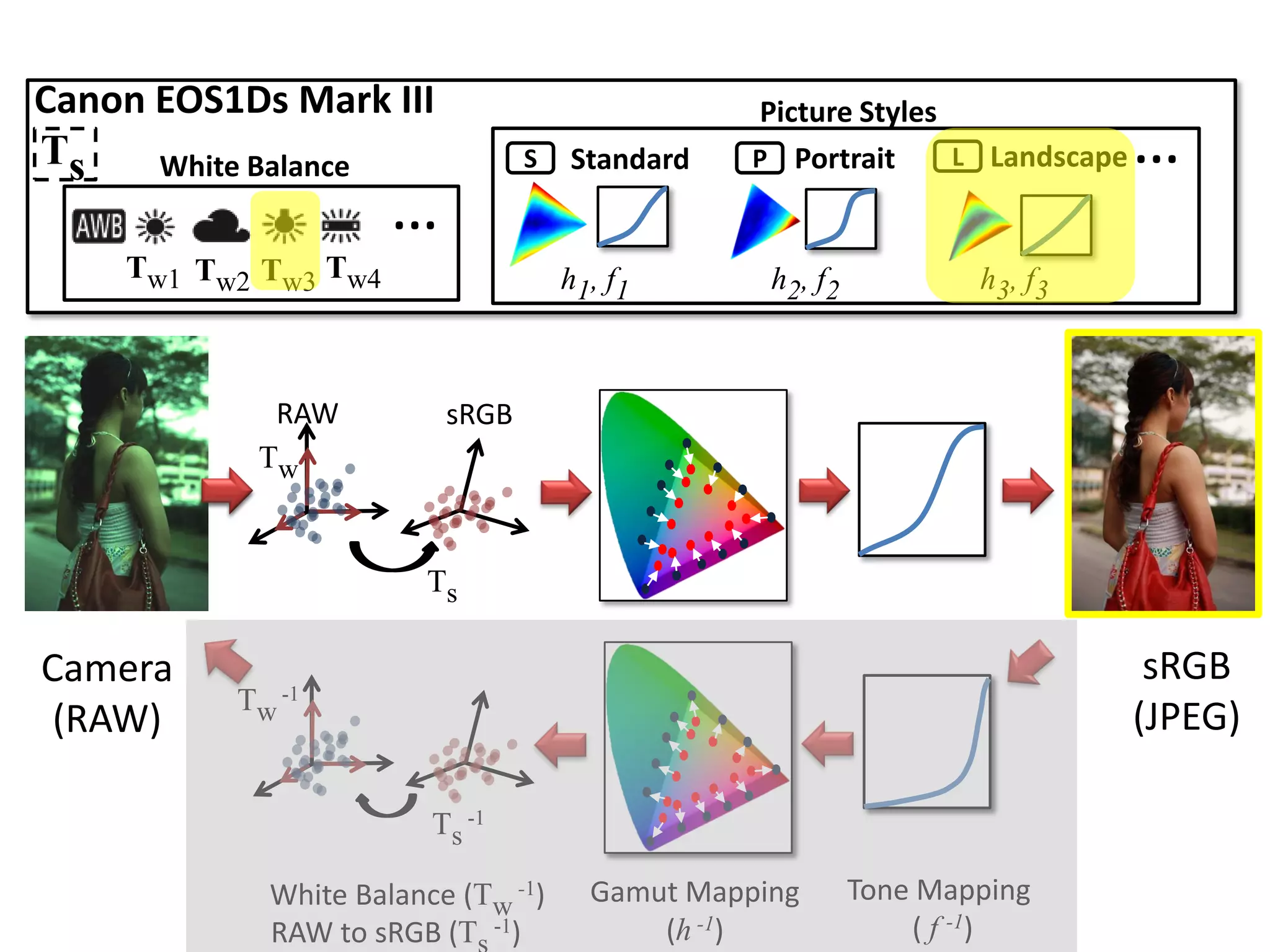Canon EOS1Ds Mark III                            Picture Styles
Ts    White Balance              S   Standard    P Portrait     L Landscape   …
                      …
    Tw1 Tw2 Tw3 Tw4                  h1, f1       h2, f2           h3, f3



            RAW           sRGB
           Tw


                       Ts

Camera                                                                         sRGB
          Tw   -1
 (RAW)                                                                        (JPEG)

                        Ts -1

            White Balance (Tw -1)      Gamut Mapping       Tone Mapping
            RAW to sRGB (T -1)             (h -1)              ( f -1)
 