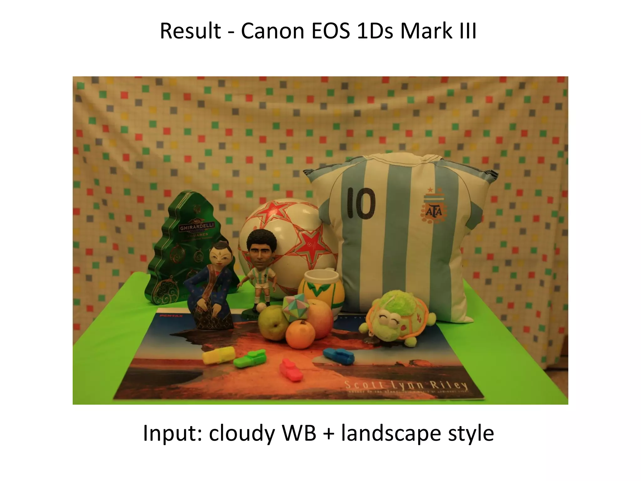 Result - Canon EOS 1Ds Mark III




Input: cloudy WB + landscape style
 