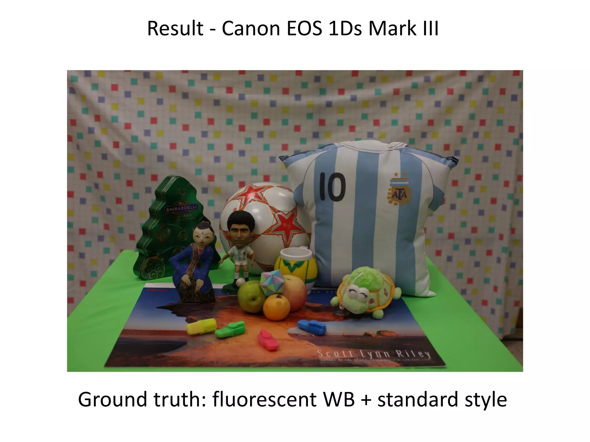 Result - Canon EOS 1Ds Mark III




Ground truth: fluorescent WB + standard style
 