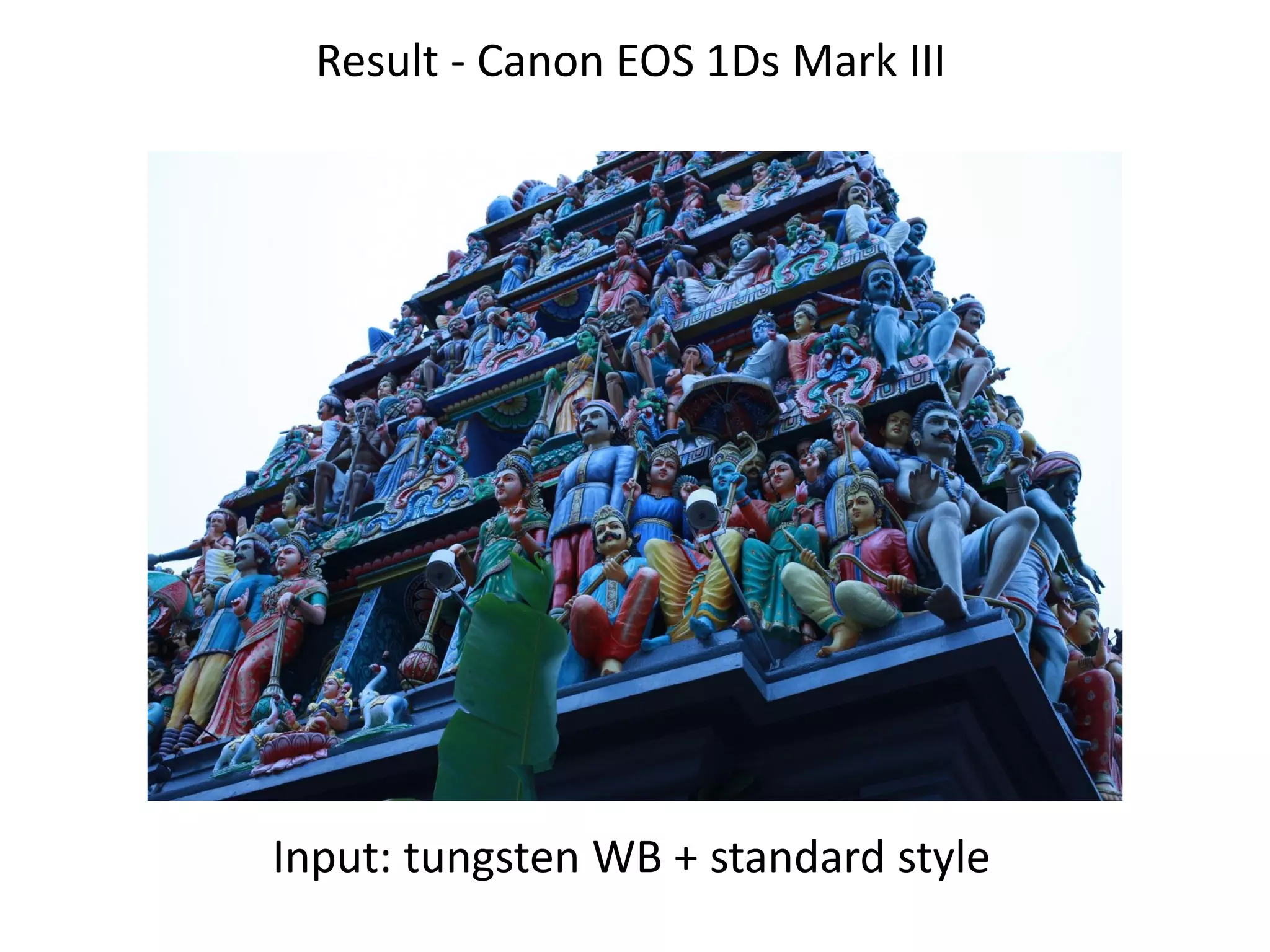 Result - Canon EOS 1Ds Mark III




Input: tungsten WB + standard style
 