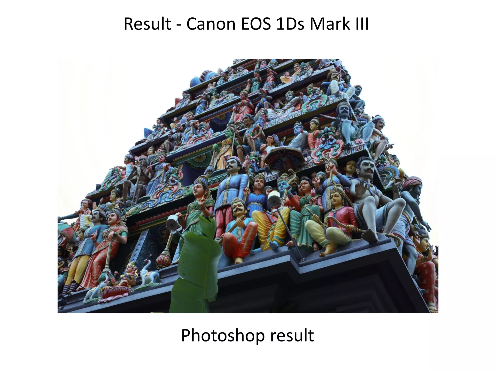 Result - Canon EOS 1Ds Mark III




       Photoshop result
 