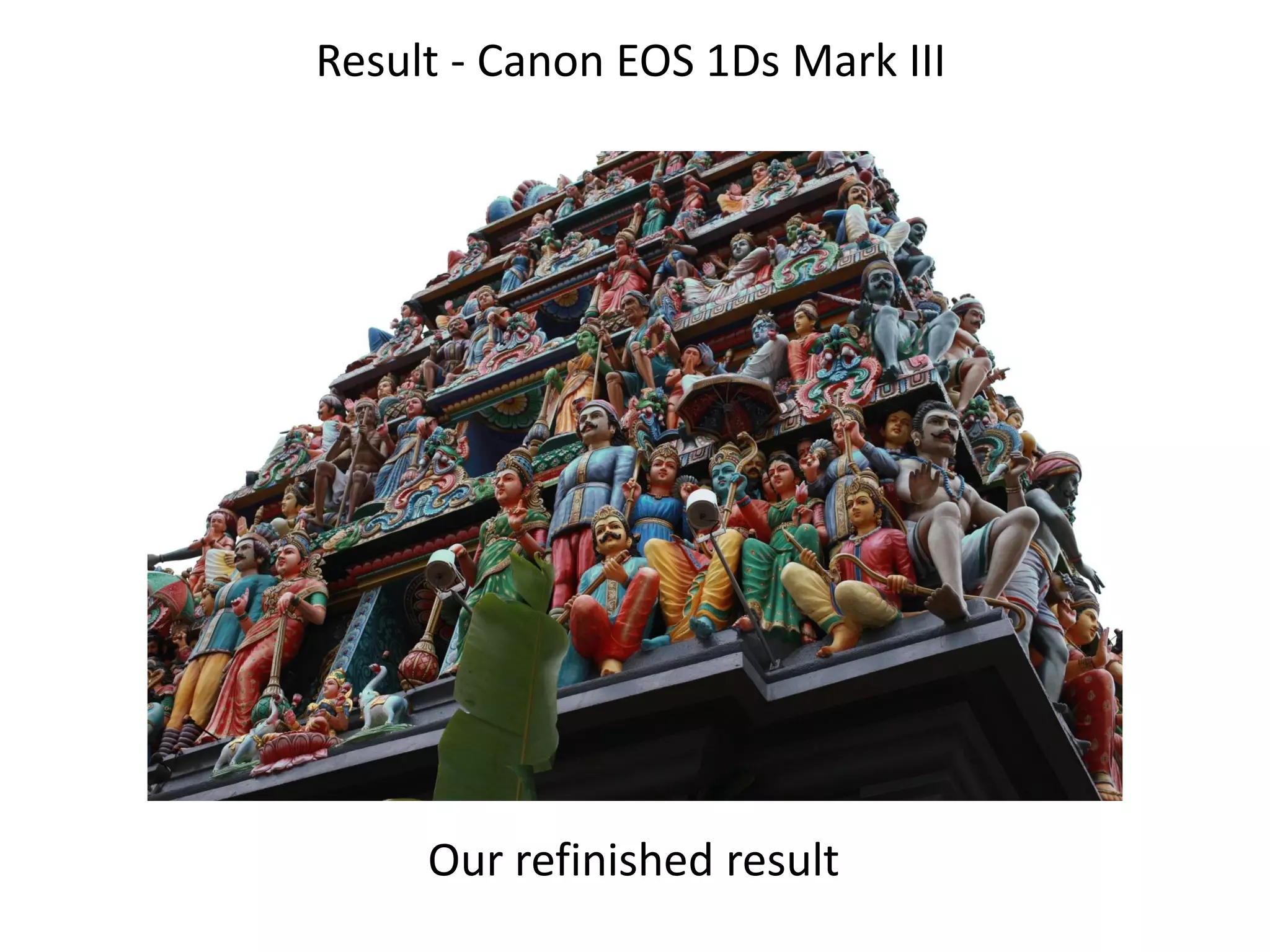 Result - Canon EOS 1Ds Mark III




     Our refinished result
 