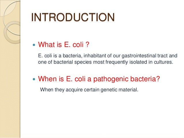 a new pathogenic e coli francisco mu 241 oz maestre a new pathogenic e coli francisco mu 241 oz maestre