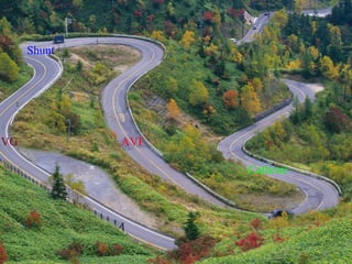 Shunt




AVG           AVF

                    Catheter
 